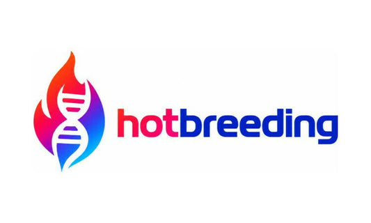 HotBreeding.com