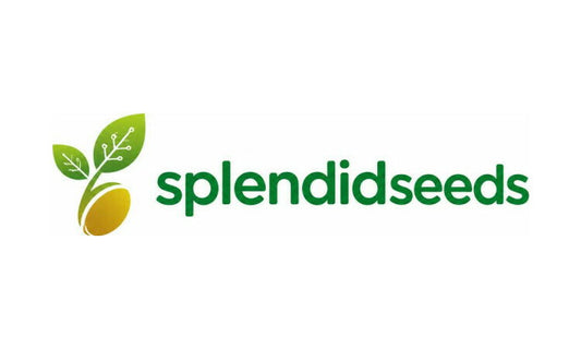 SplendidSeeds.com