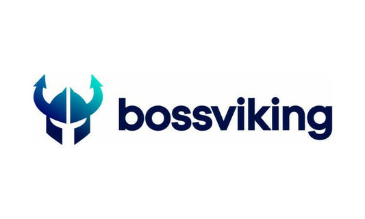 bossviking.com