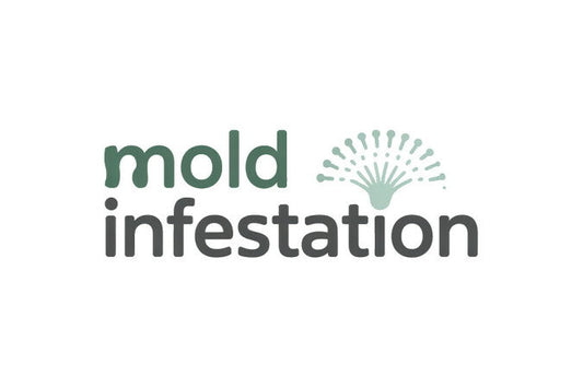 MoldInfestation.com
