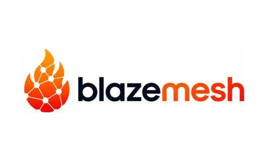BlazeMesh.com