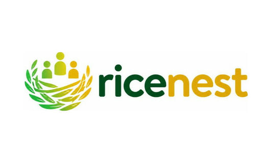 RiceNest.com