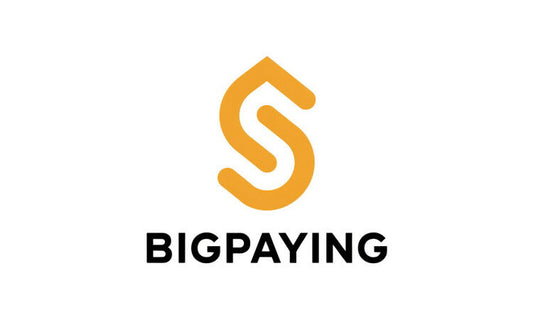 BigPayIng.com