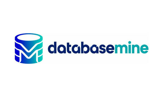 databasemine.com